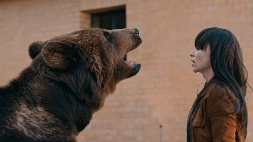 Film Berlin Metanoia: Eine junge Frau mit langen dunklen Haaren und brauner Jacke und ein Bär stehen sich gegenüber. Der Bär reißt das Maul auf. Sie wirkt ruhig.