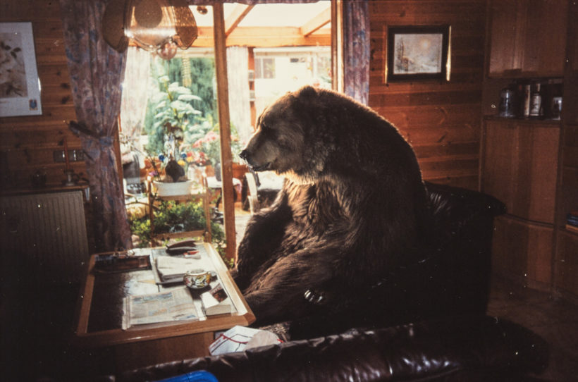 Kurzfilm BÄR von Pascal Floercks: Ein Bär sitzt traurig in einem Ledersessel an einem Tisch in eiem Zimmer mit Holzvertäfelung. Im Hintergrund eine Terrasse mit Pflanzen..